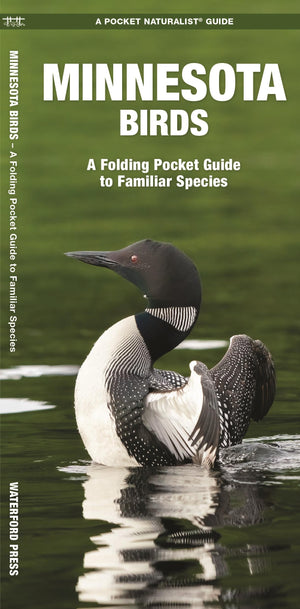 Minnesota Birds: A Folding Pocket Guide to Familiar Species (Wildlife and Nature Identification),Used
