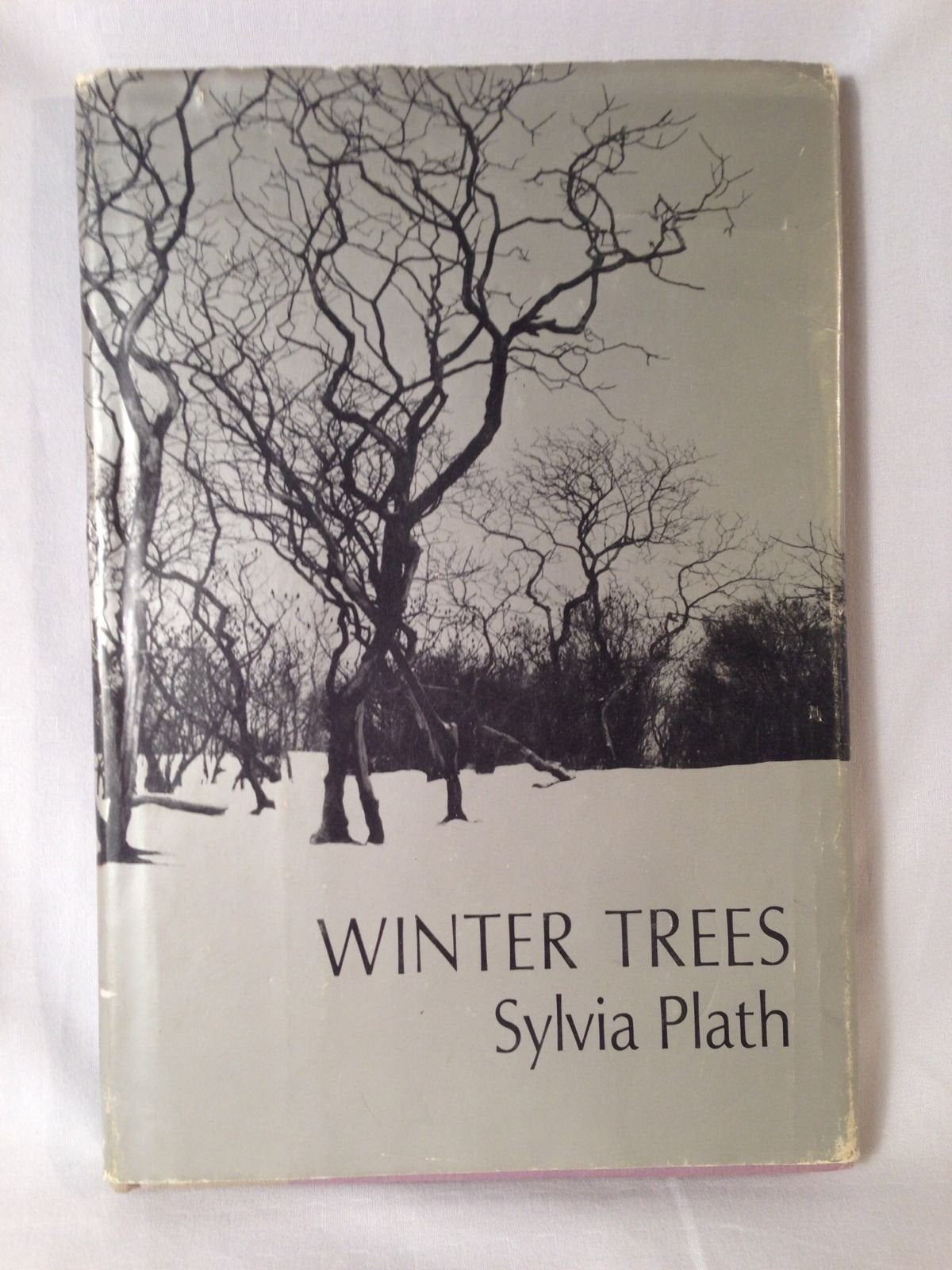 Winter Trees