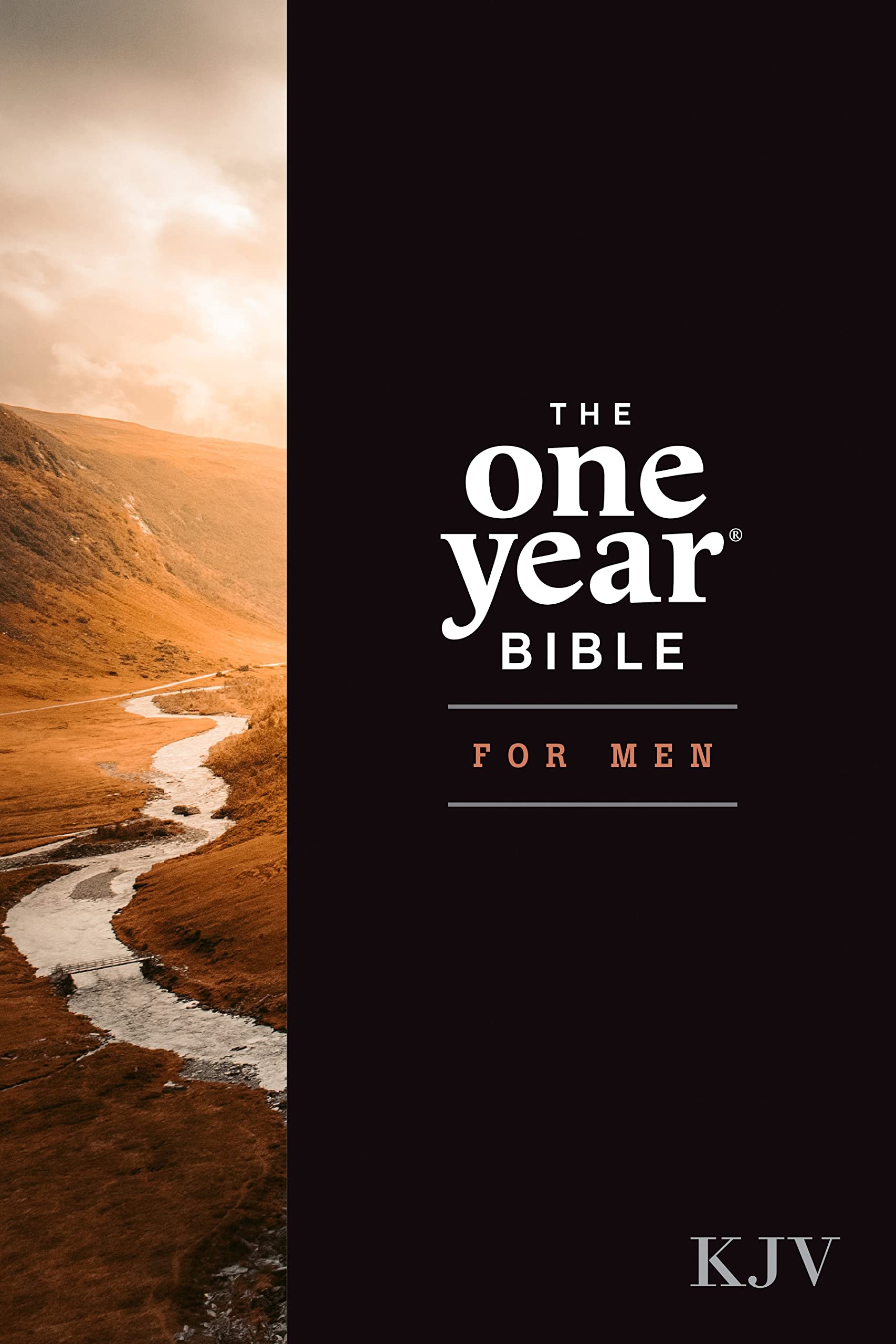 The One Year Bible for Men, KJV (Softcover),New