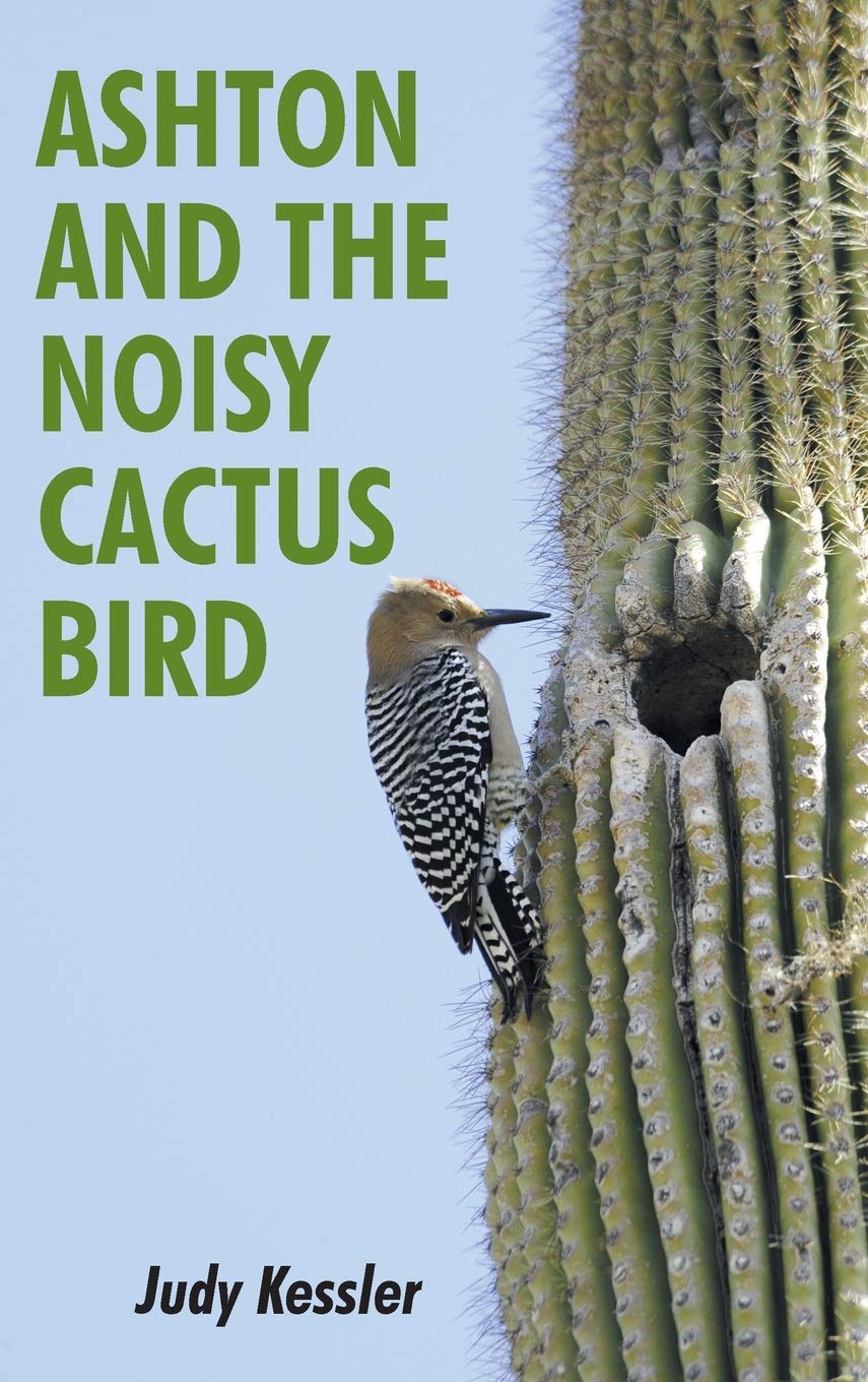 Ashton and the Noisy Cactus Bird,Used