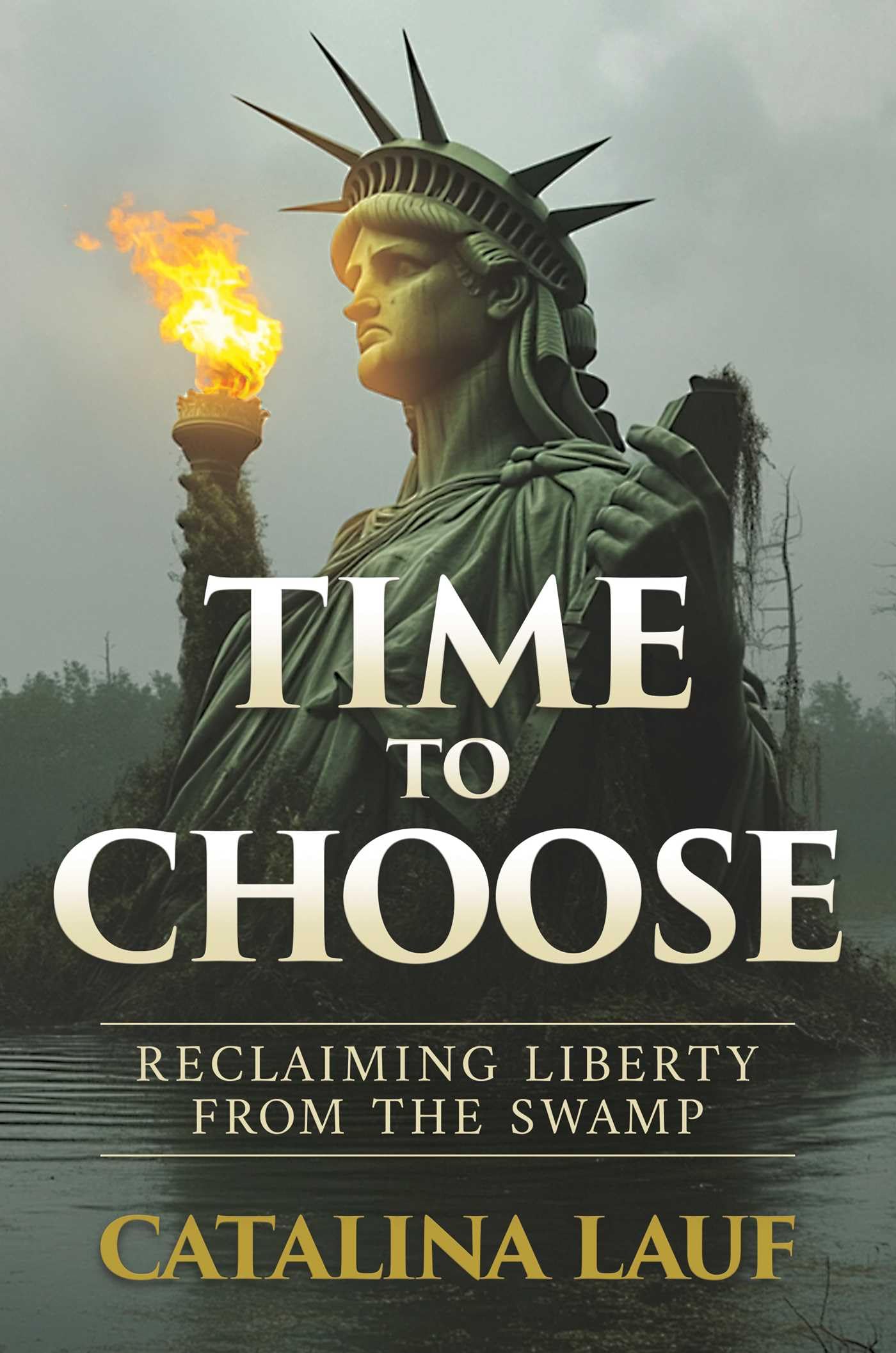 Time To Choose: Reclaiming Liberty From The Swamp