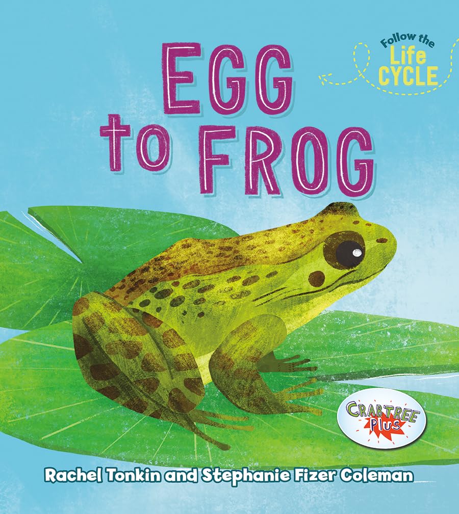 Egg to Frog (Follow the Life Cycle),Used