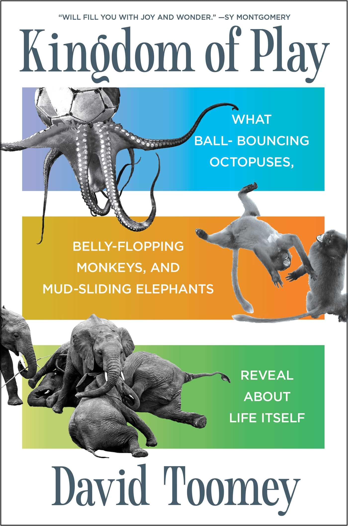 Kingdom Of Play: What Ballbouncing Octopuses, Bellyflopping Monkeys, And Mudsliding Elephants Reveal About Life Itself,New