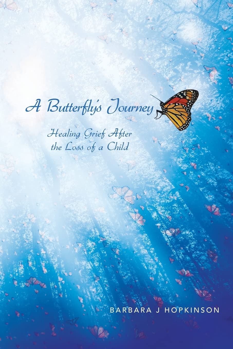 A Butterflys Journey: Healing Grief After the Loss of a Child,Used