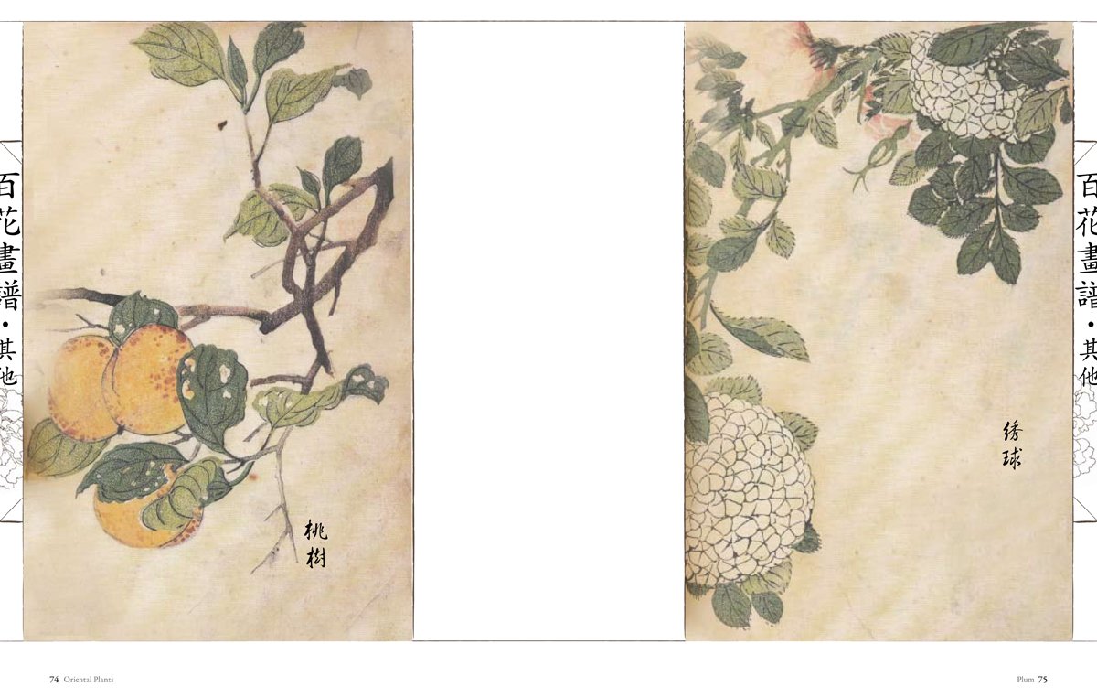 Oriental Flowers: Chinese Brush Paintings,Used