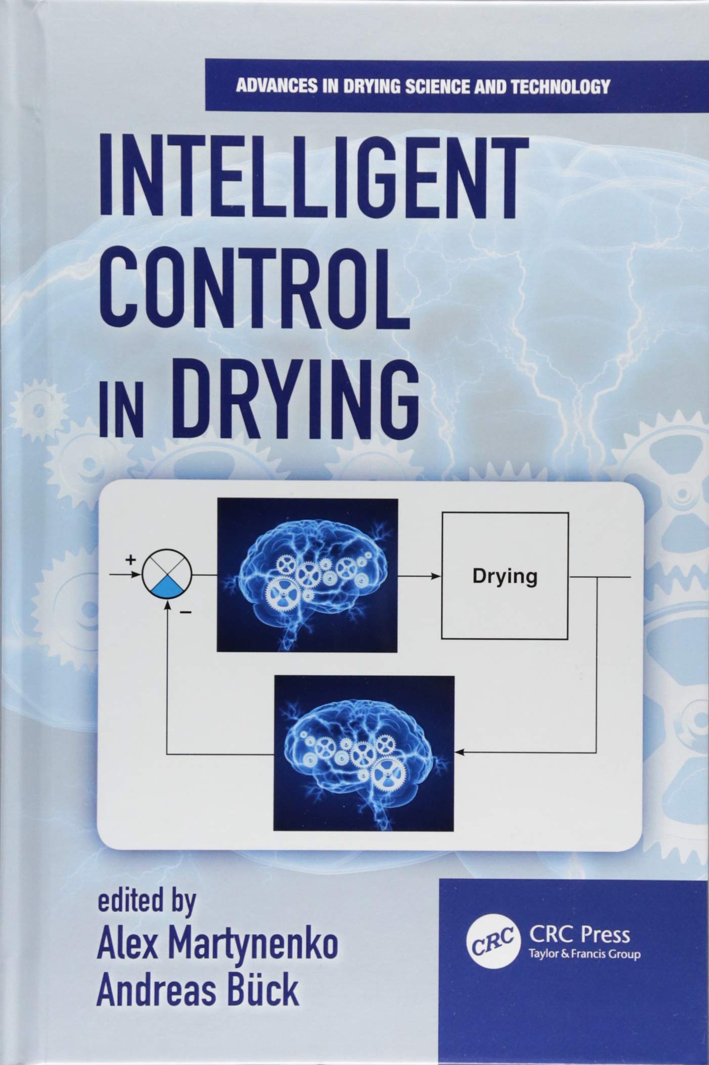Intelligent Control in Drying (Advances in Drying Science and Technology),Used