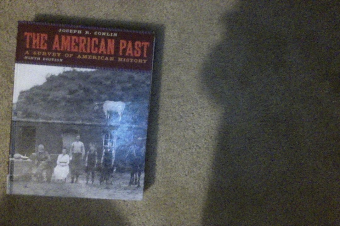 The American Past: A Survey of American History,New