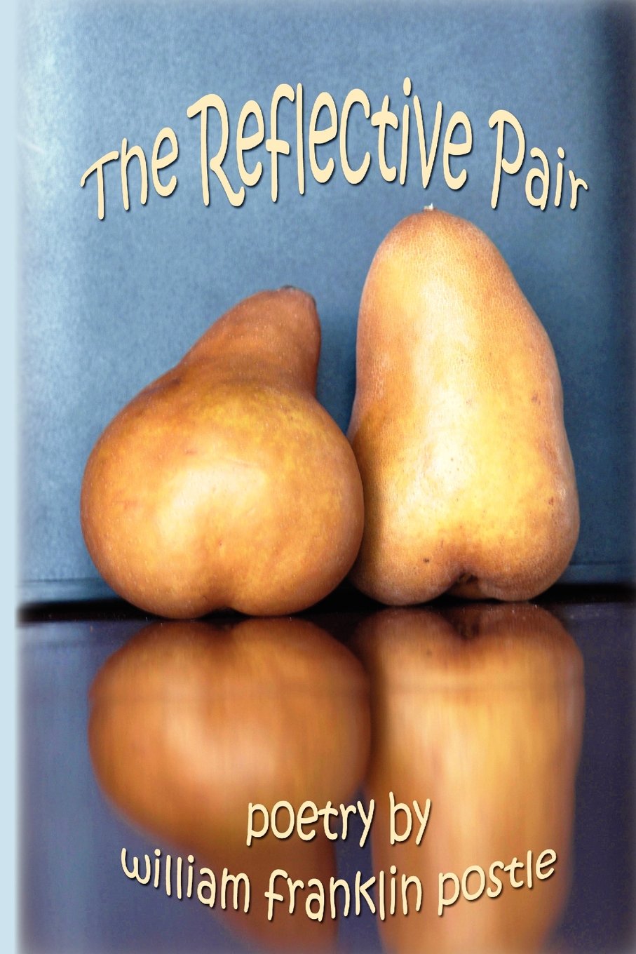 The Reflective Pair,Used