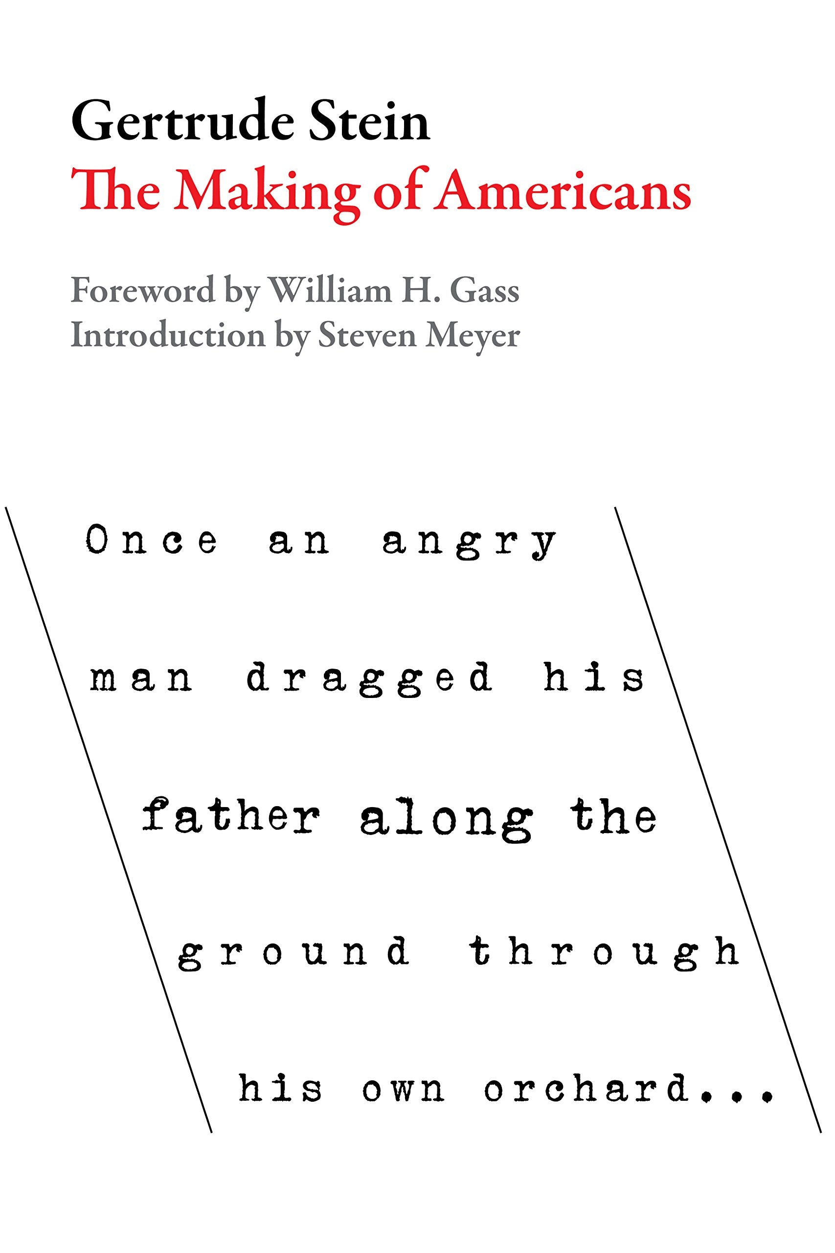 Making of Americans (American Literature (Dalkey Archive)),Used