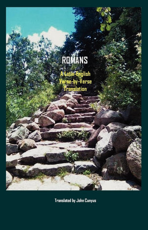 Romans: A Latinenglish, Versebyverse Translation,Used