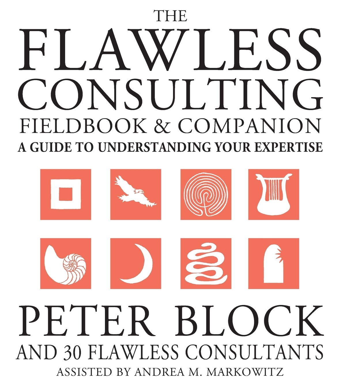 The Flawless Consulting Fieldbook and Companion : A Guide Understanding Your Expertise,New