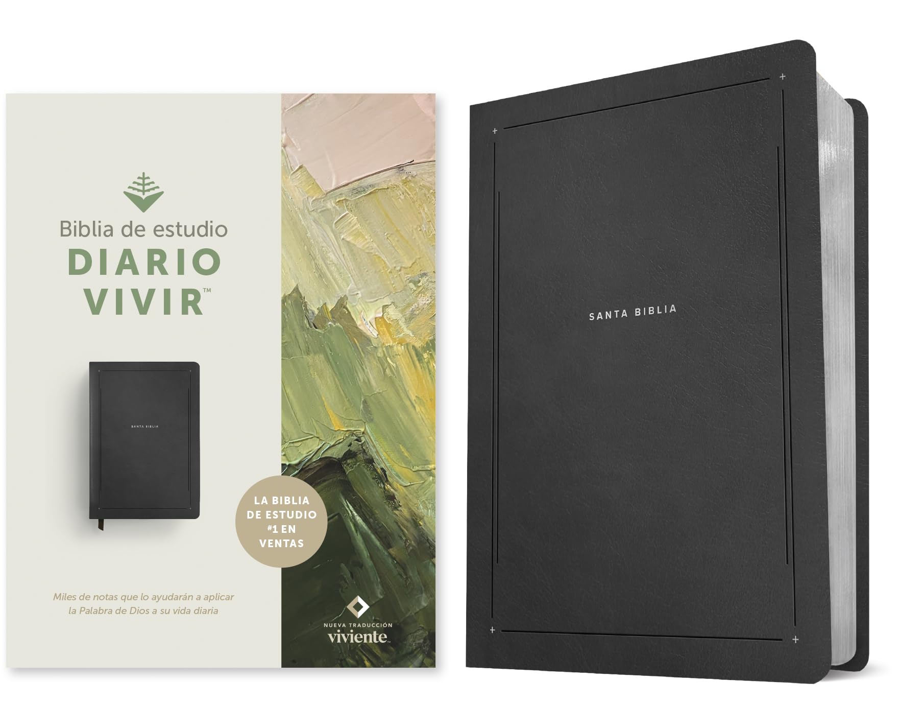 Biblia De Estudio Del Diario Vivir Ntv (Sentipiel, Negro, Letra Roja) (Spanish Edition)