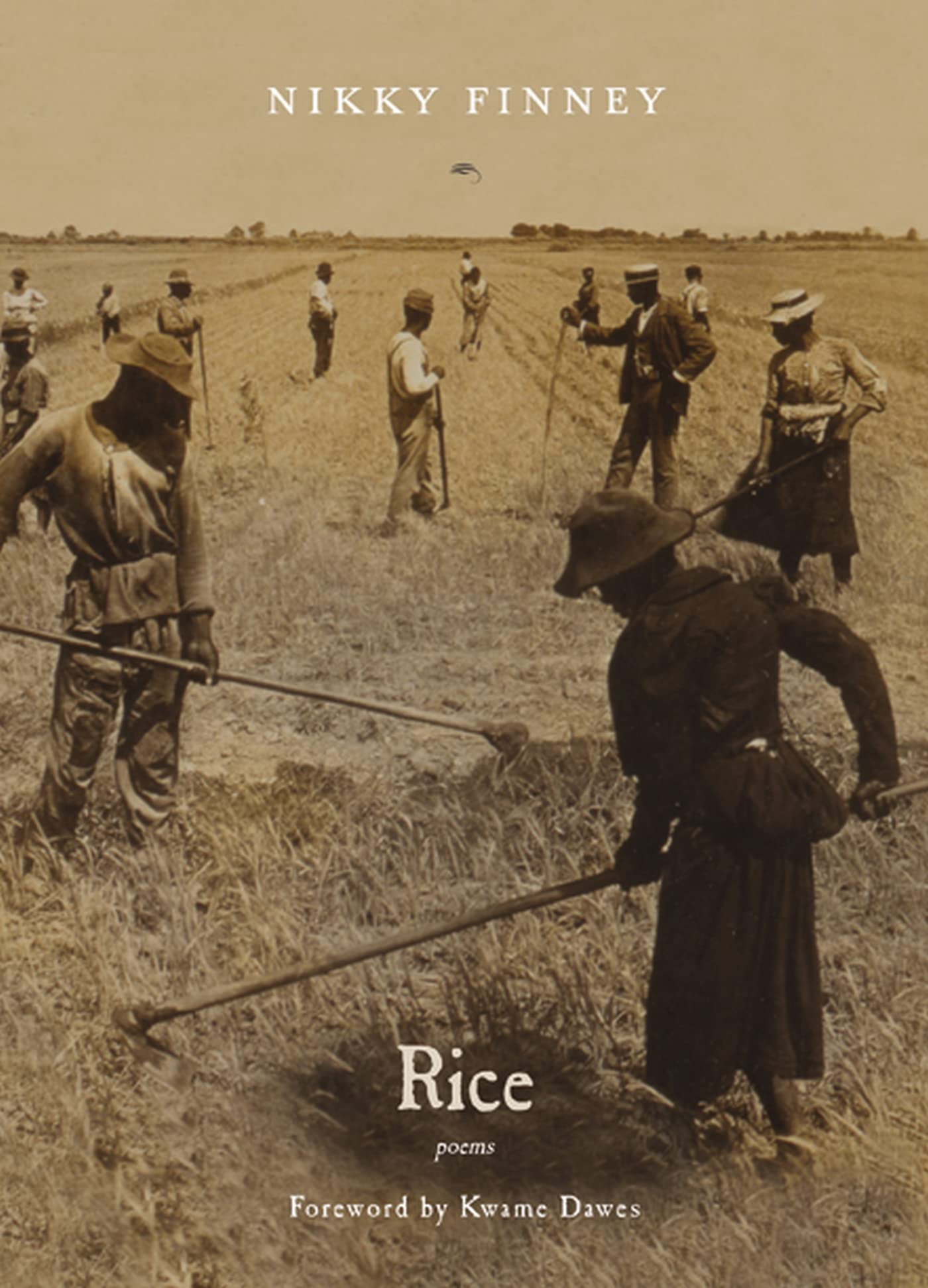 Rice: Poems,Used