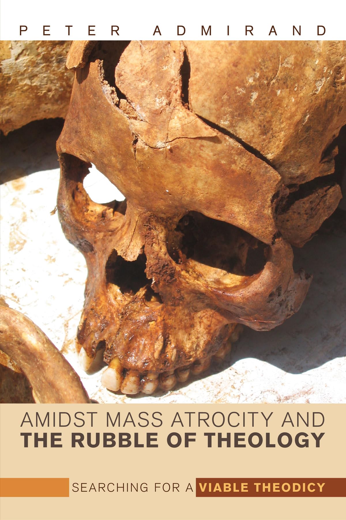 Amidst Mass Atrocity And The Rubble Of Theology: Searching For A Viable Theodicy,Used
