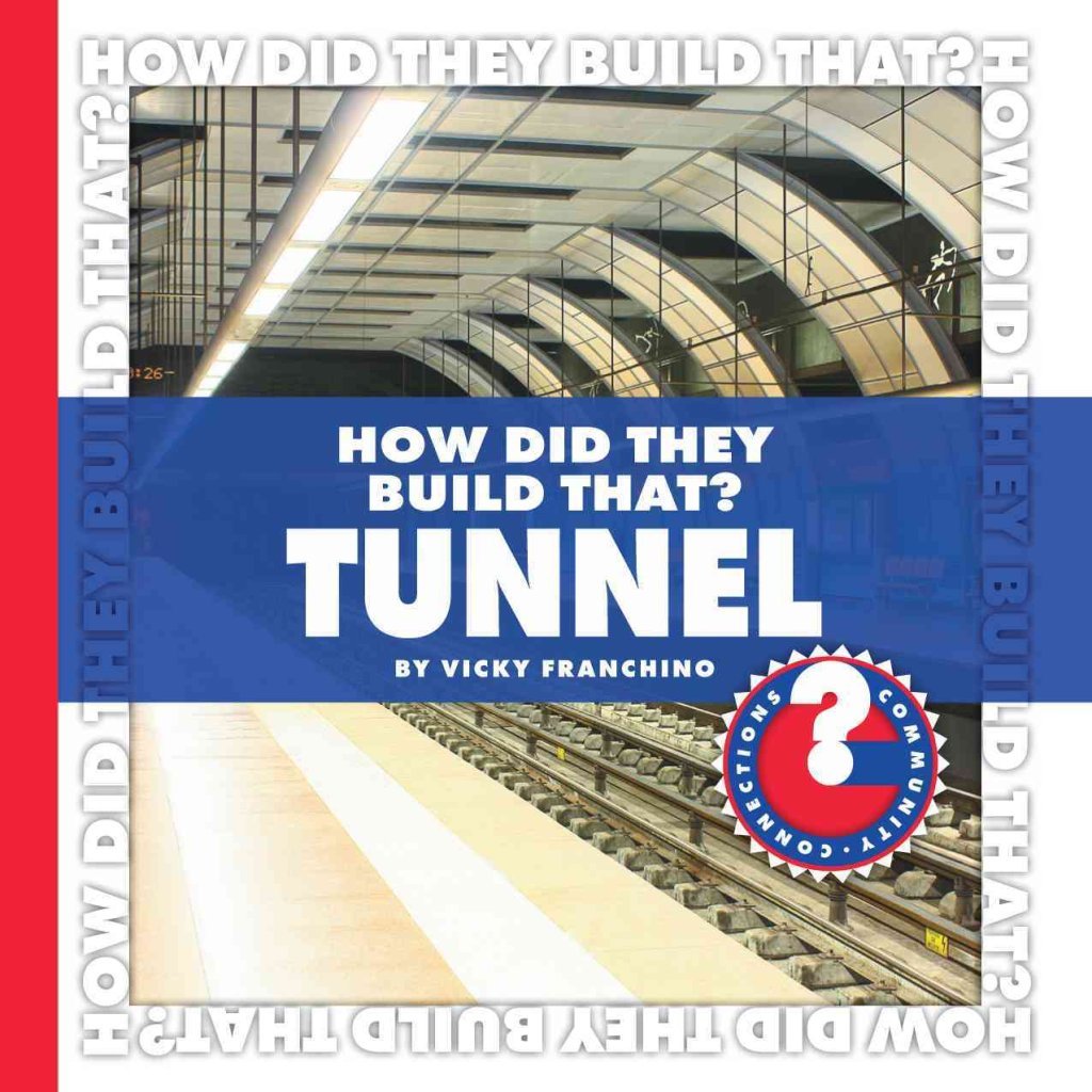 How Did They Build That? Bridge (Community Connections: How Did They Build That?),Used