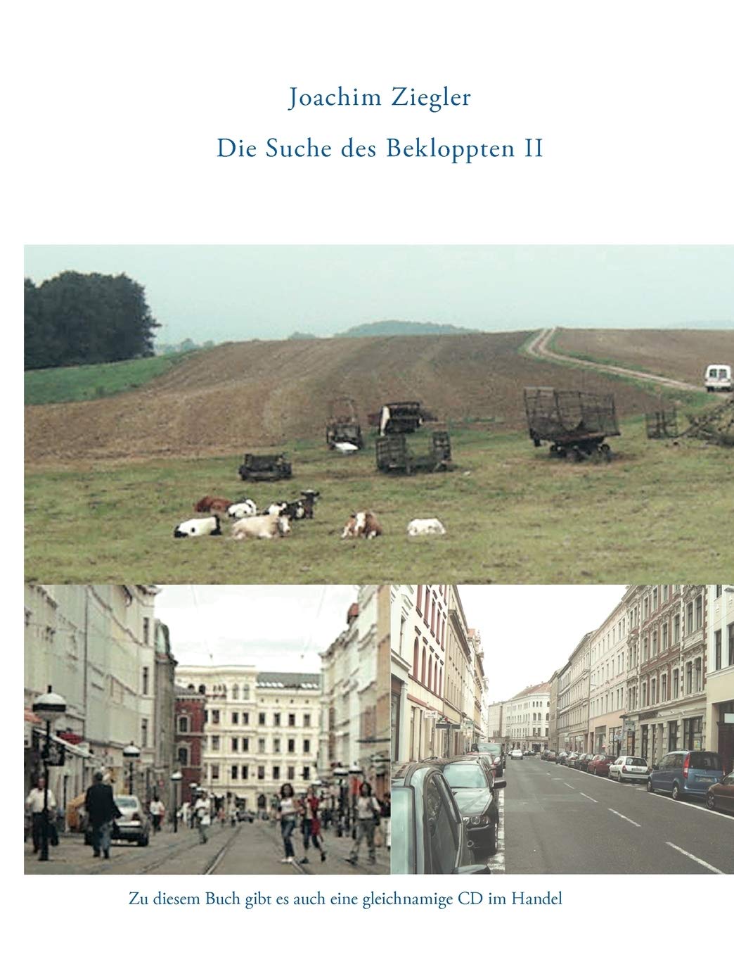 Die Suche des Bekloppten Teil 2 (German Edition),Used