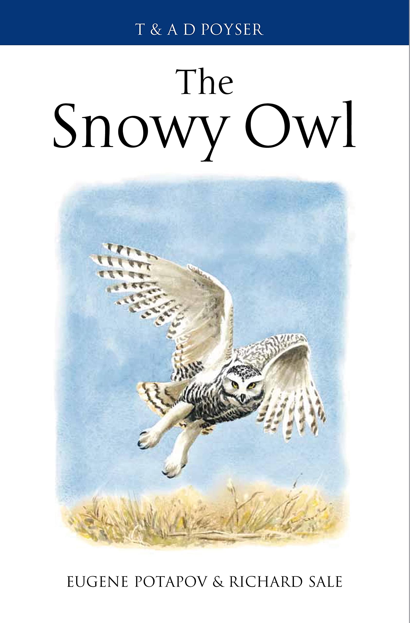The Snowy Owl (Poyser Monographs),Used