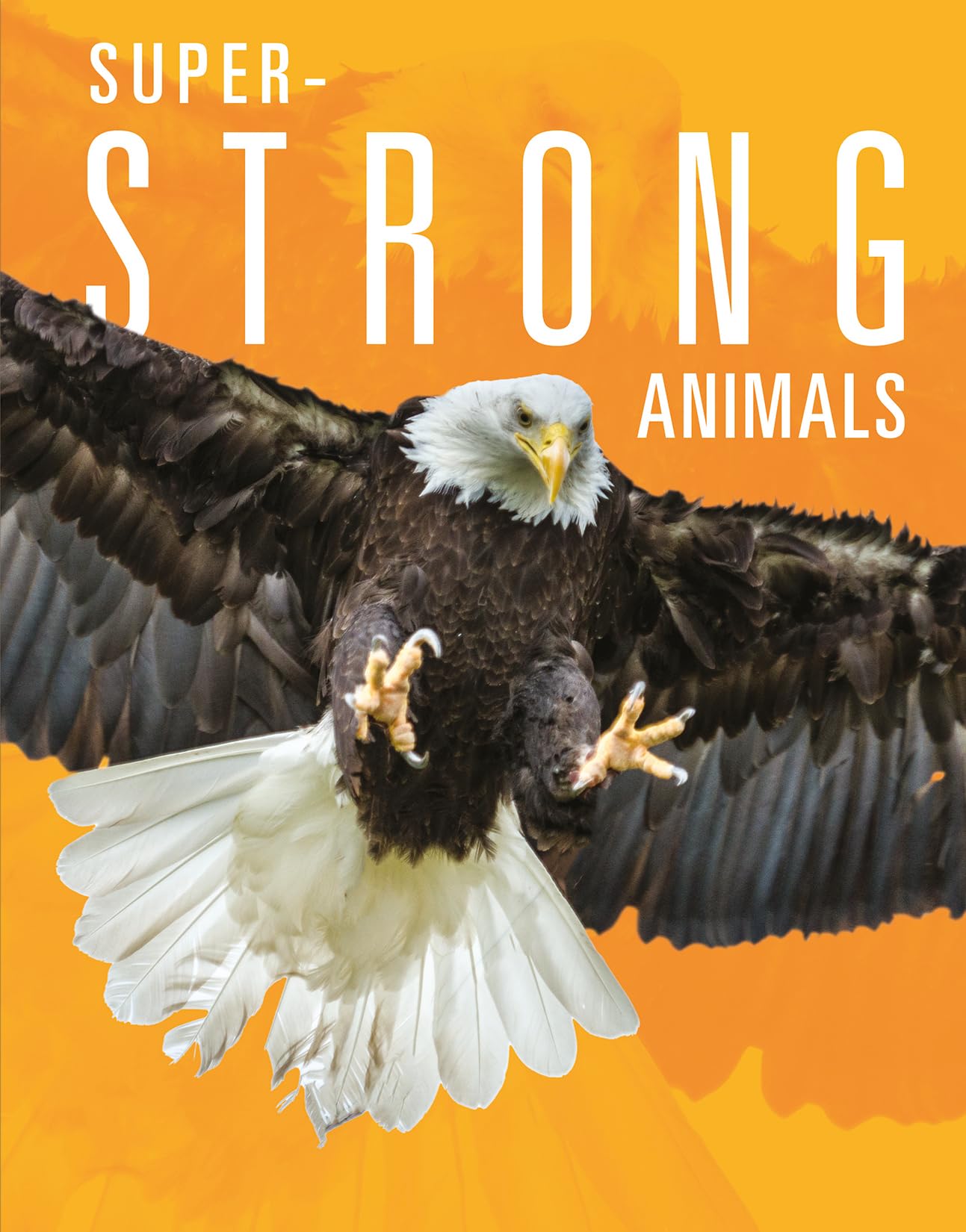 SUPER STRONG ANIMALS