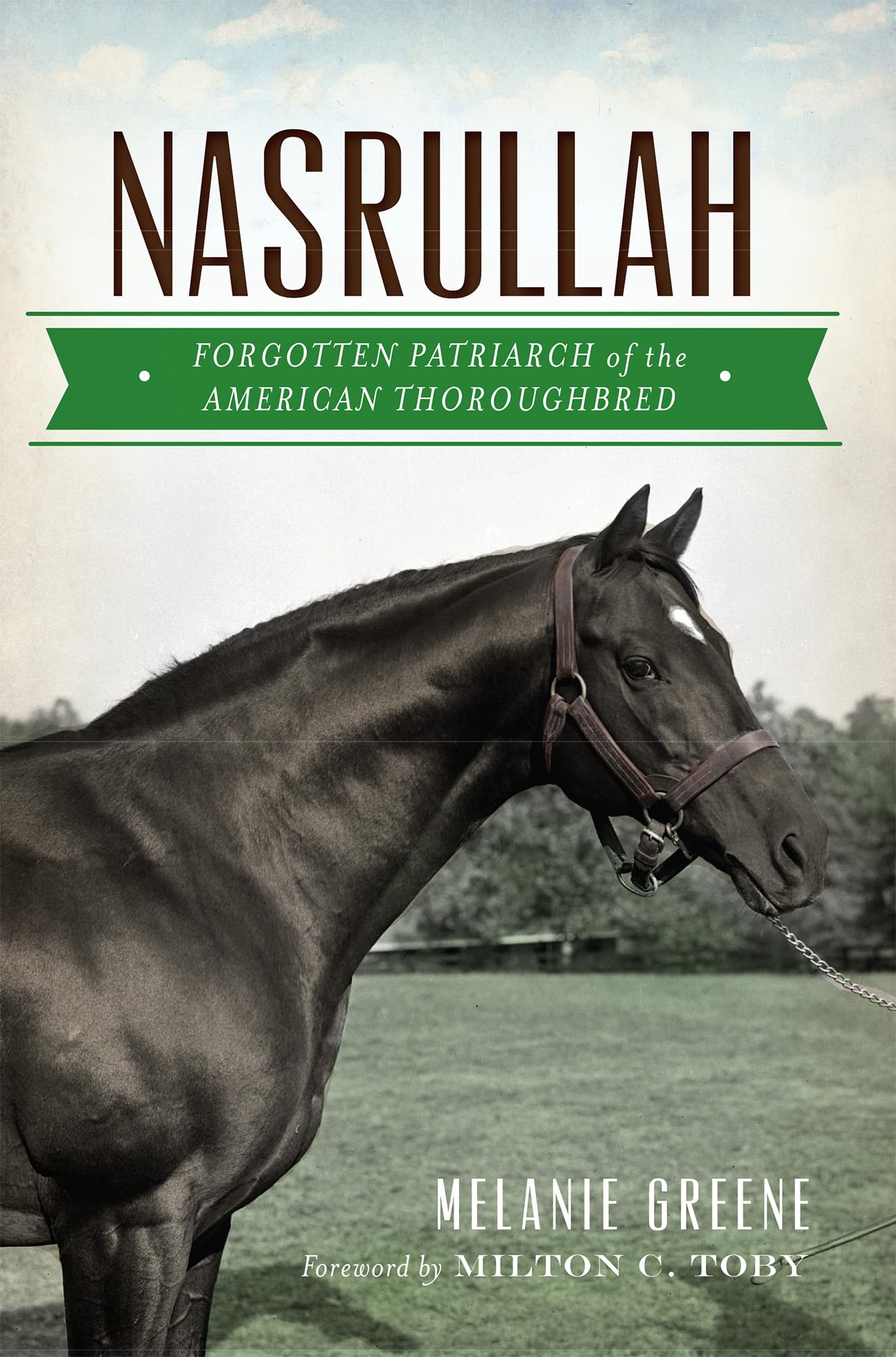 Nasrullah: Forgotten Patriarch Of The American Thoroughbred (Sports),Used