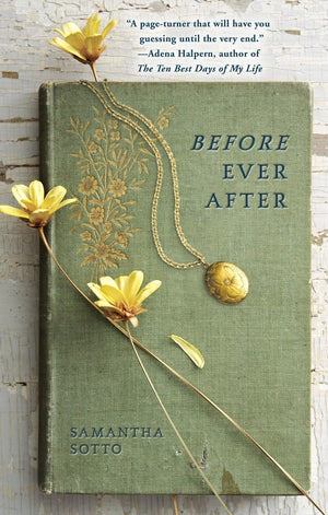 Before Ever After: A Novel,New