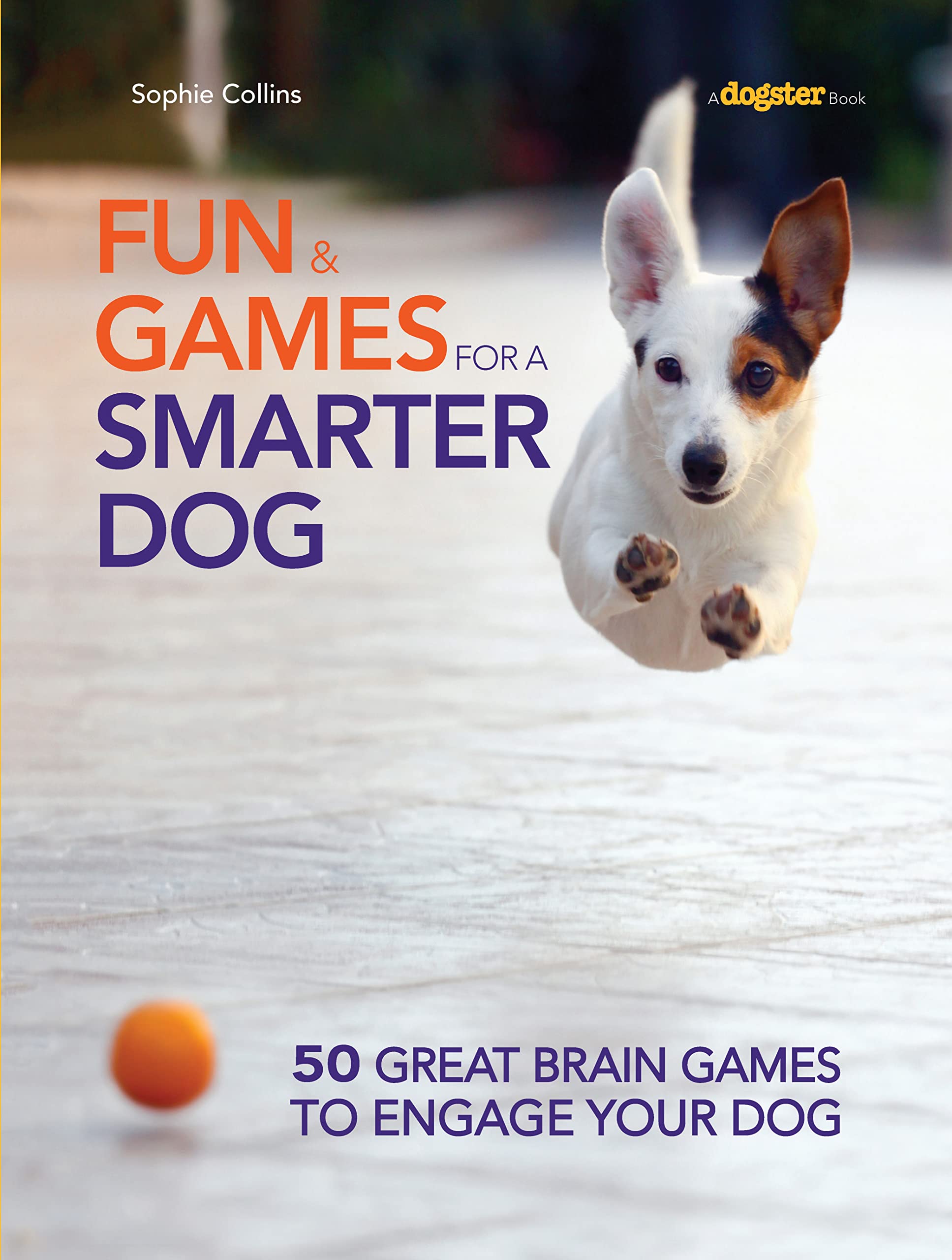 Fun & Games For A Smarter Dog: 50 Great Brain Games To Engage Your Dog (Companionhouse Books) Teach New Behaviors Stepbystep W