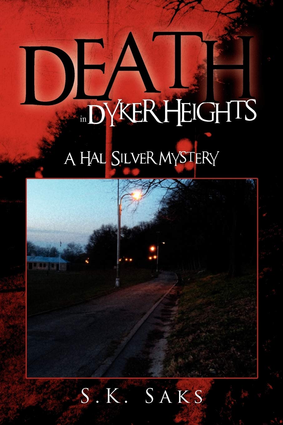 Death In Dyker Heights: A Hal Silver Mystery,Used