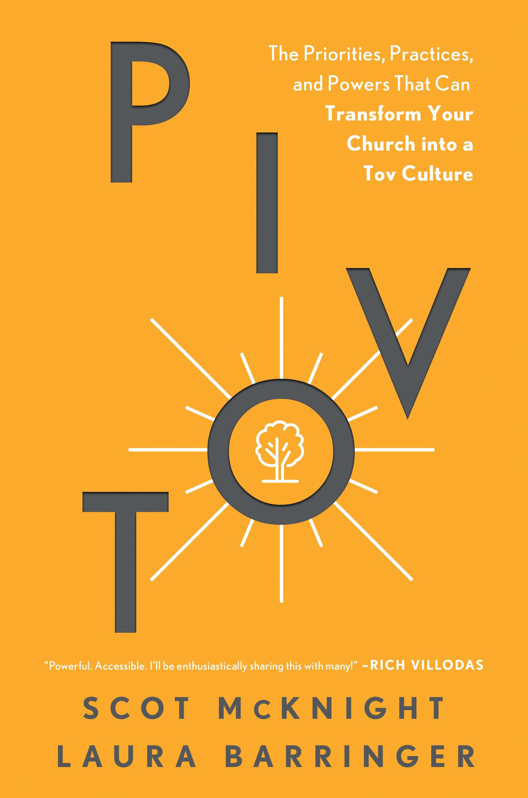 Pivot: The Priorities, Practices, and Powers That Can Transform Your Church into a Tov Culture,New