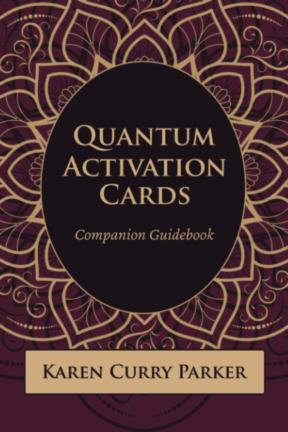 Quantum Activation Cards Companion Guidebook,Used