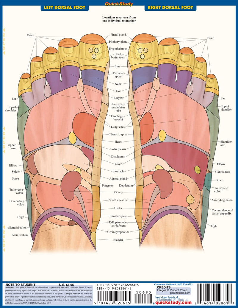 Reflexology QuickStudy Laminated Reference Guide (QuickStudy Academic),Used