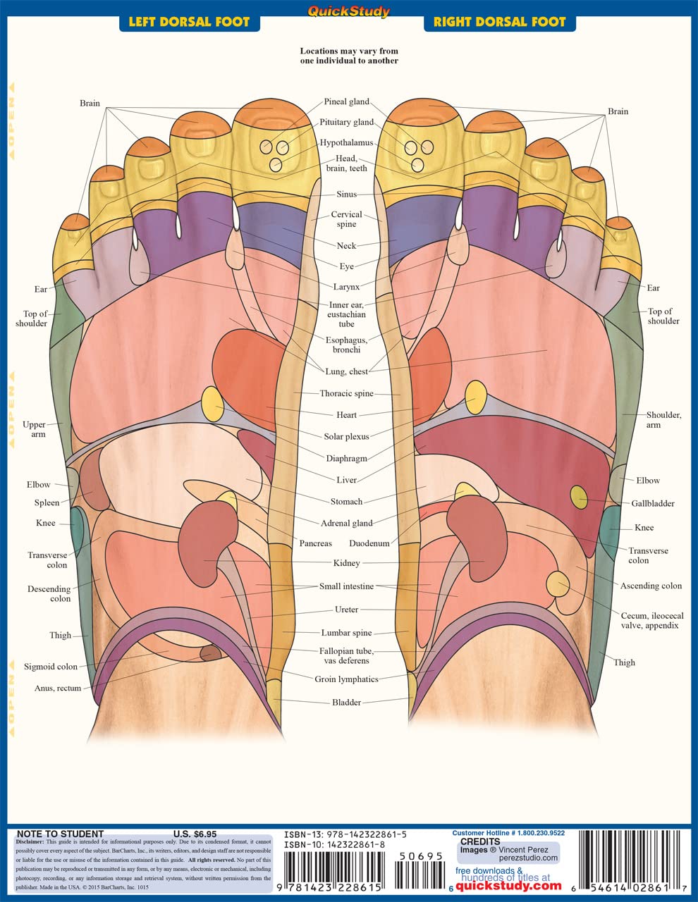 Reflexology QuickStudy Laminated Reference Guide (QuickStudy Academic),Used