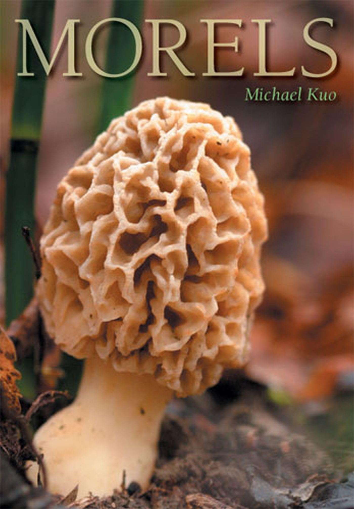 Morels,Used