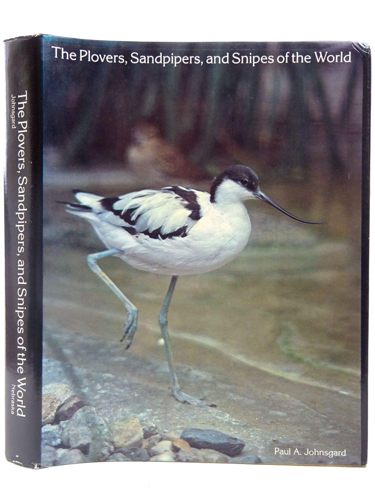 The Plovers, Sandpipers, And Snipes Of The World,New