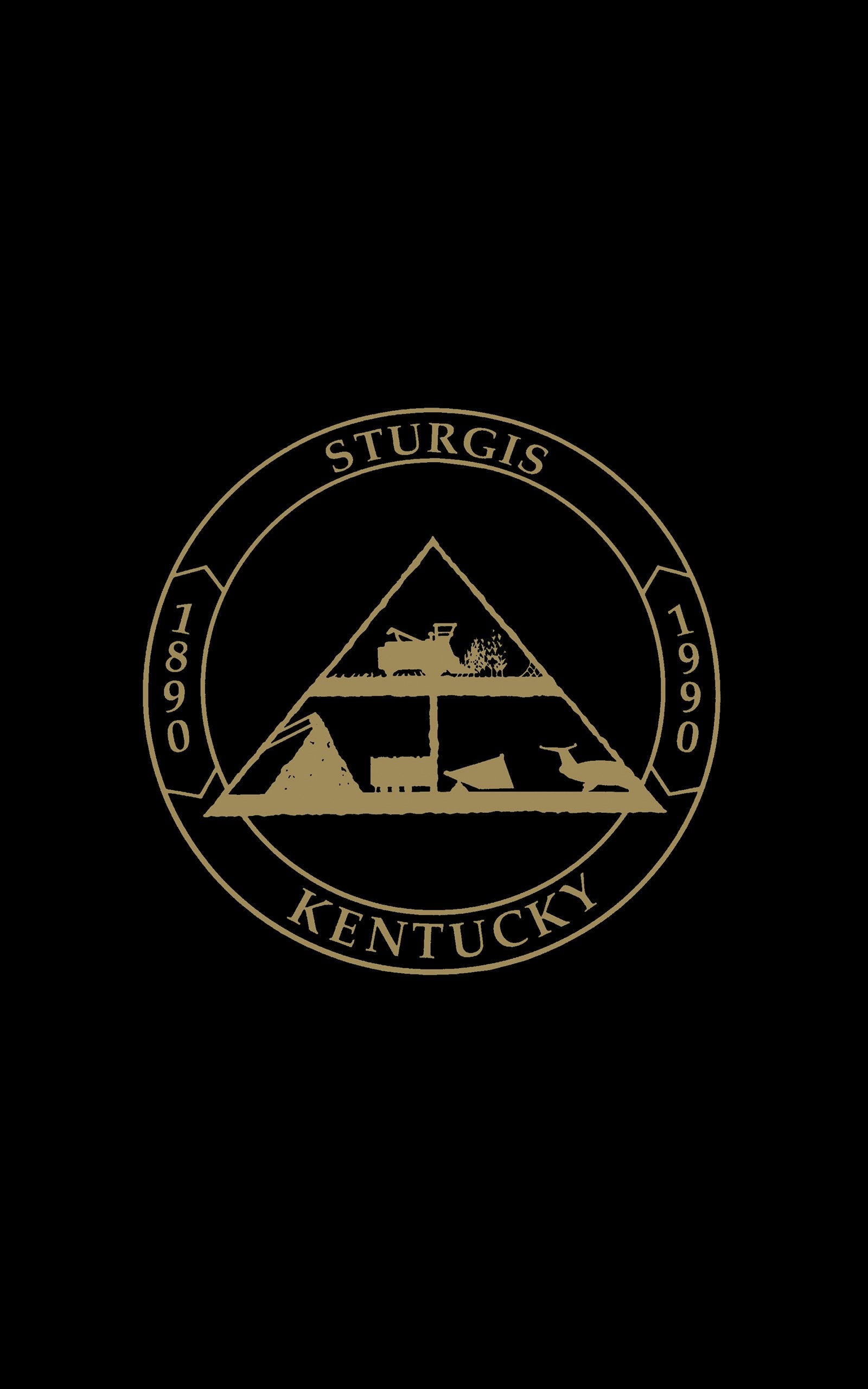 Sturgis, Ky: The First 100 Years,Used