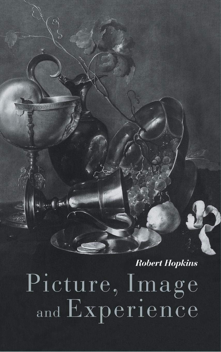 Picture, Image and Experience: A Philosophical Inquiry,Used