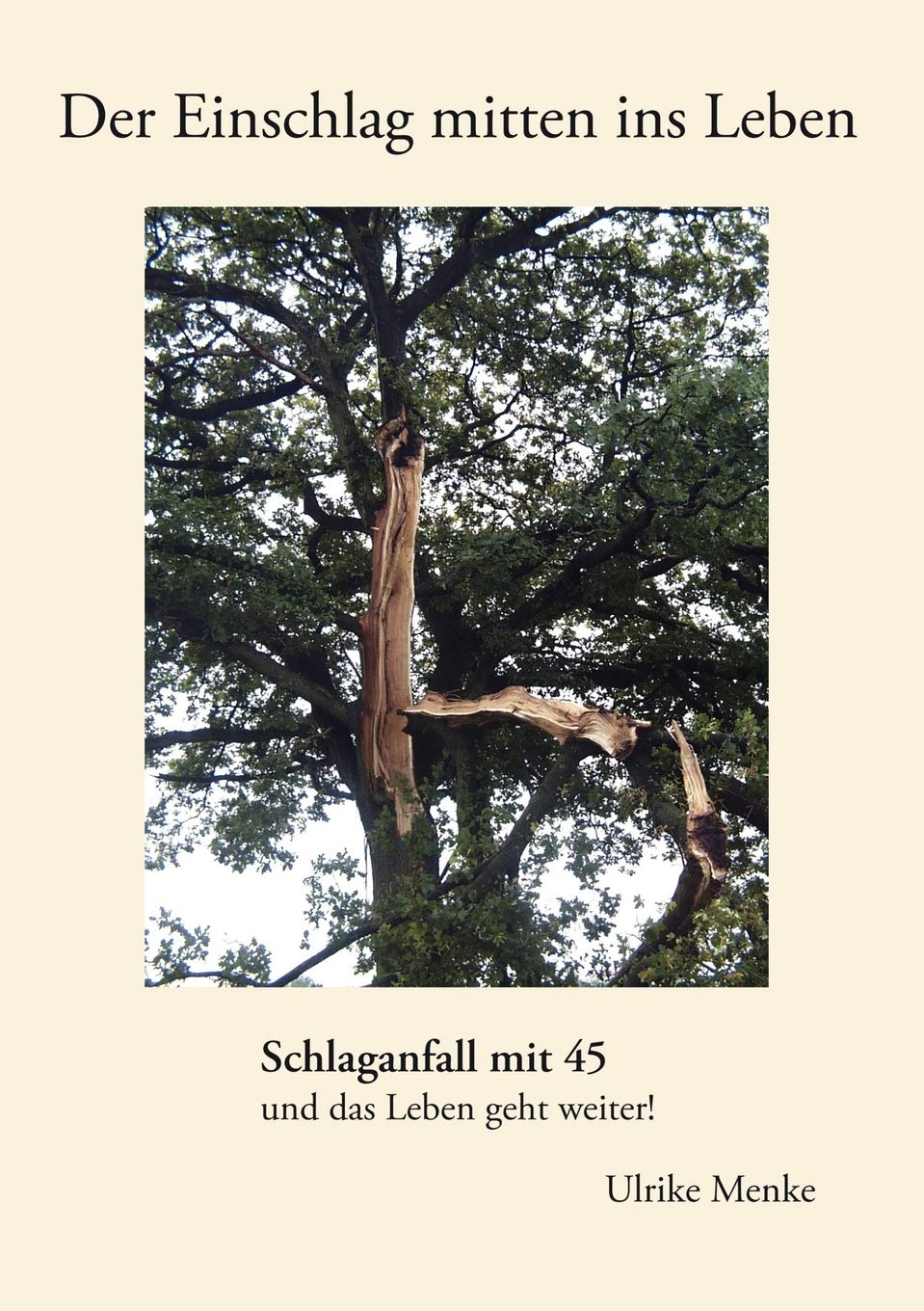 Der Einschlag mitten ins Leben: Schlaganfall mit 45 und das Leben geht weiter! (German Edition),Used
