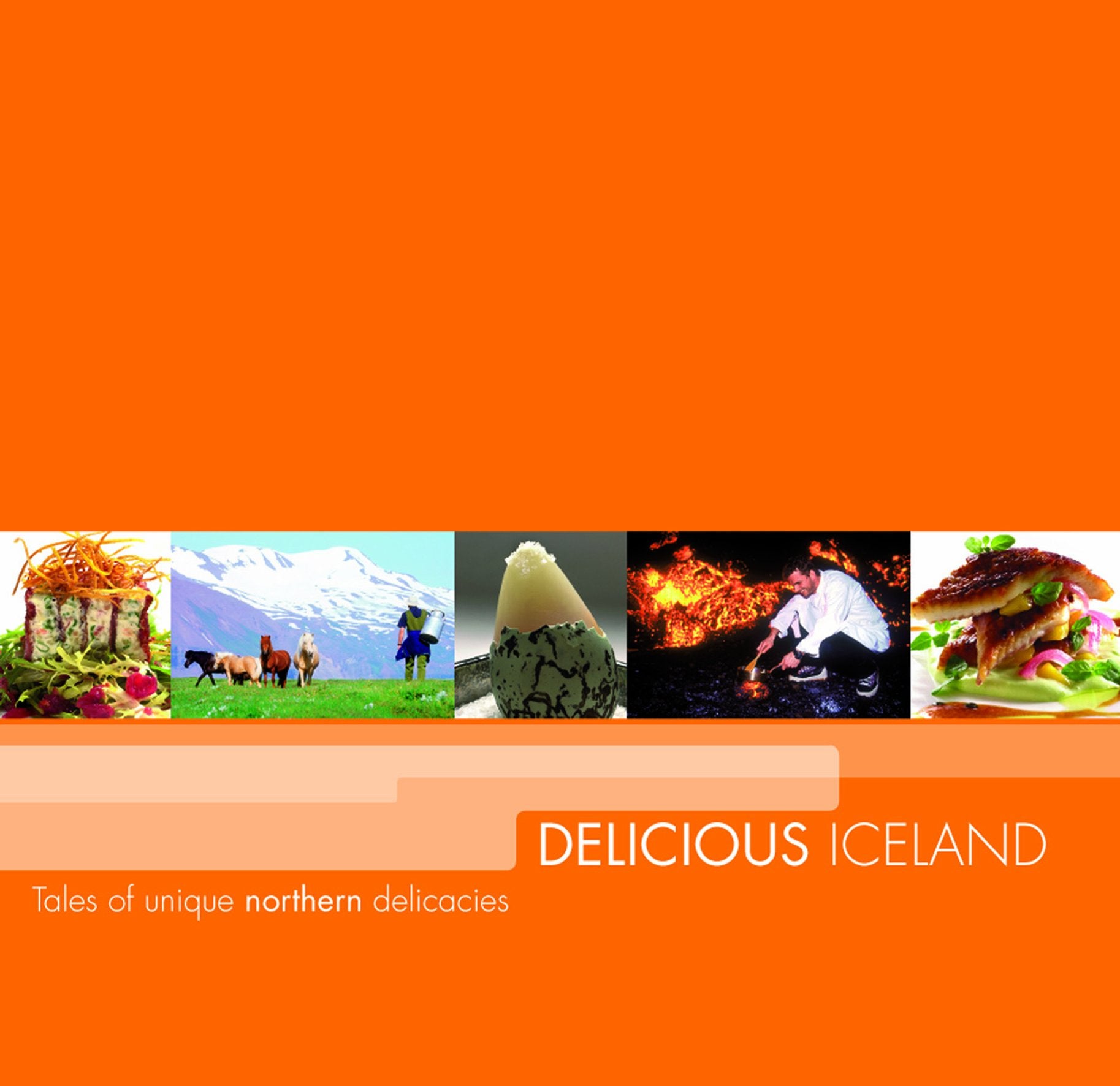 Delicious Iceland (Tales of Unique Northern Delicacies),Used