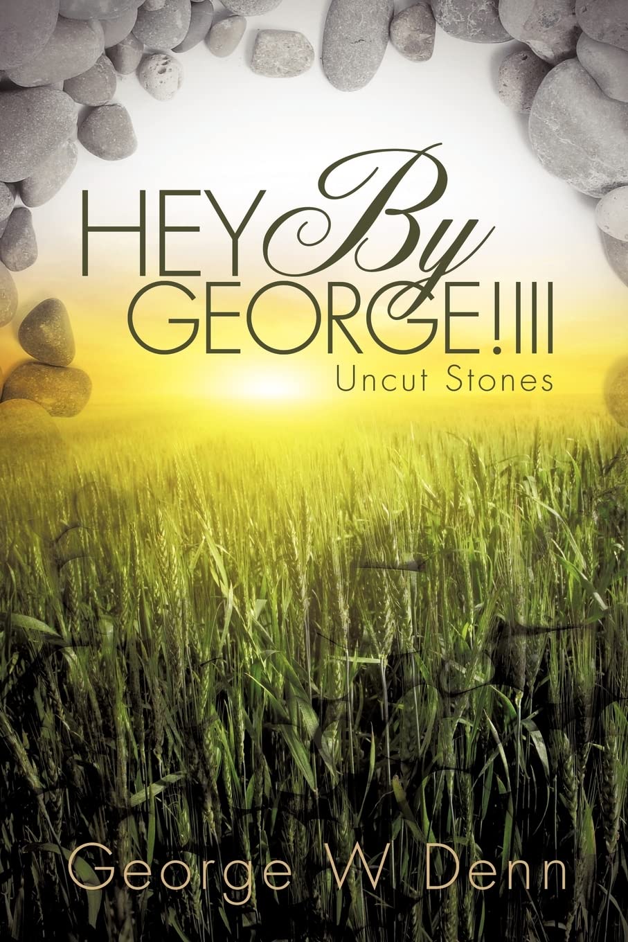 Hey By George!Iii,Used