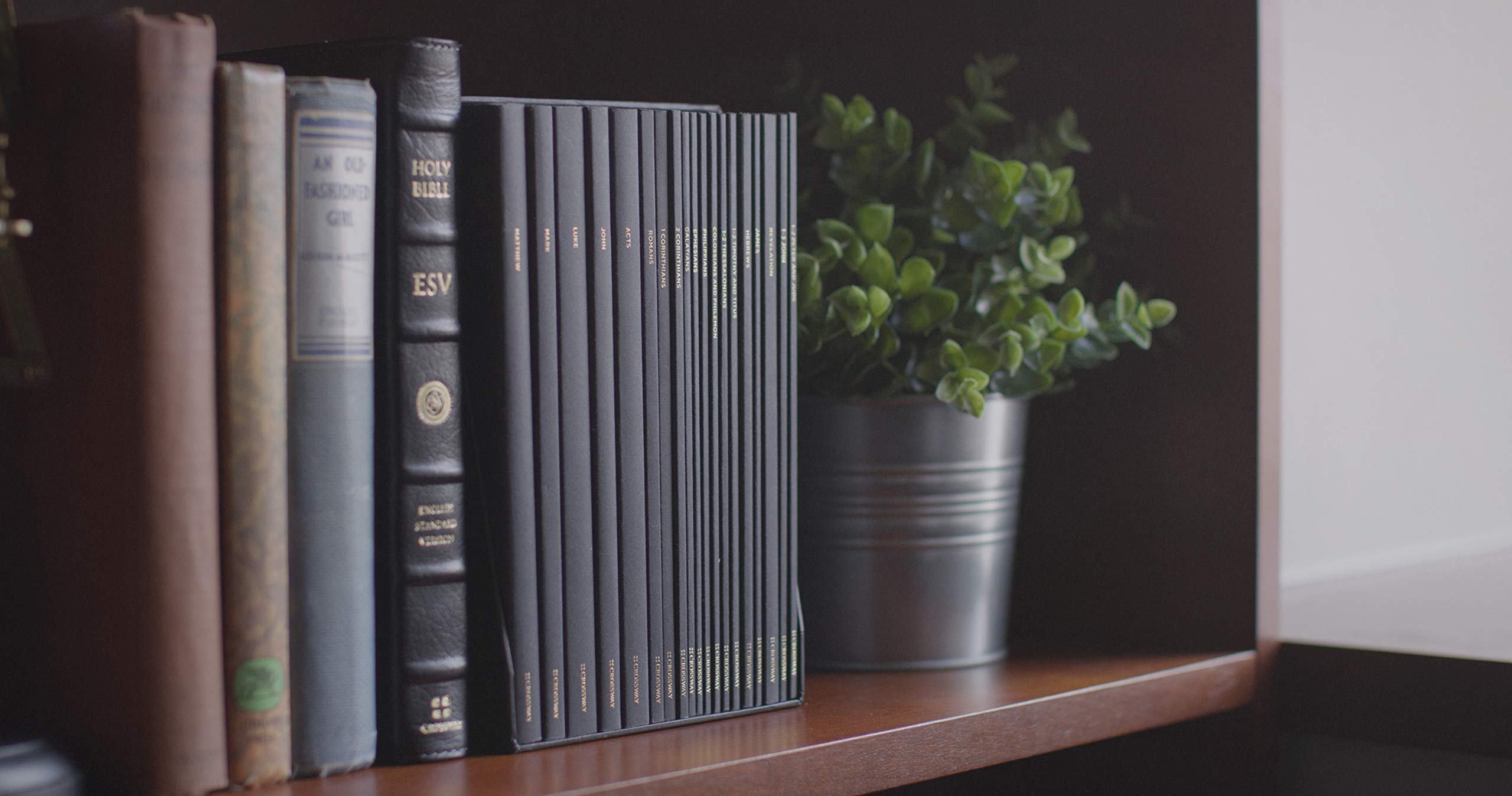 ESV Scripture Journal: New Testament Set,Used
