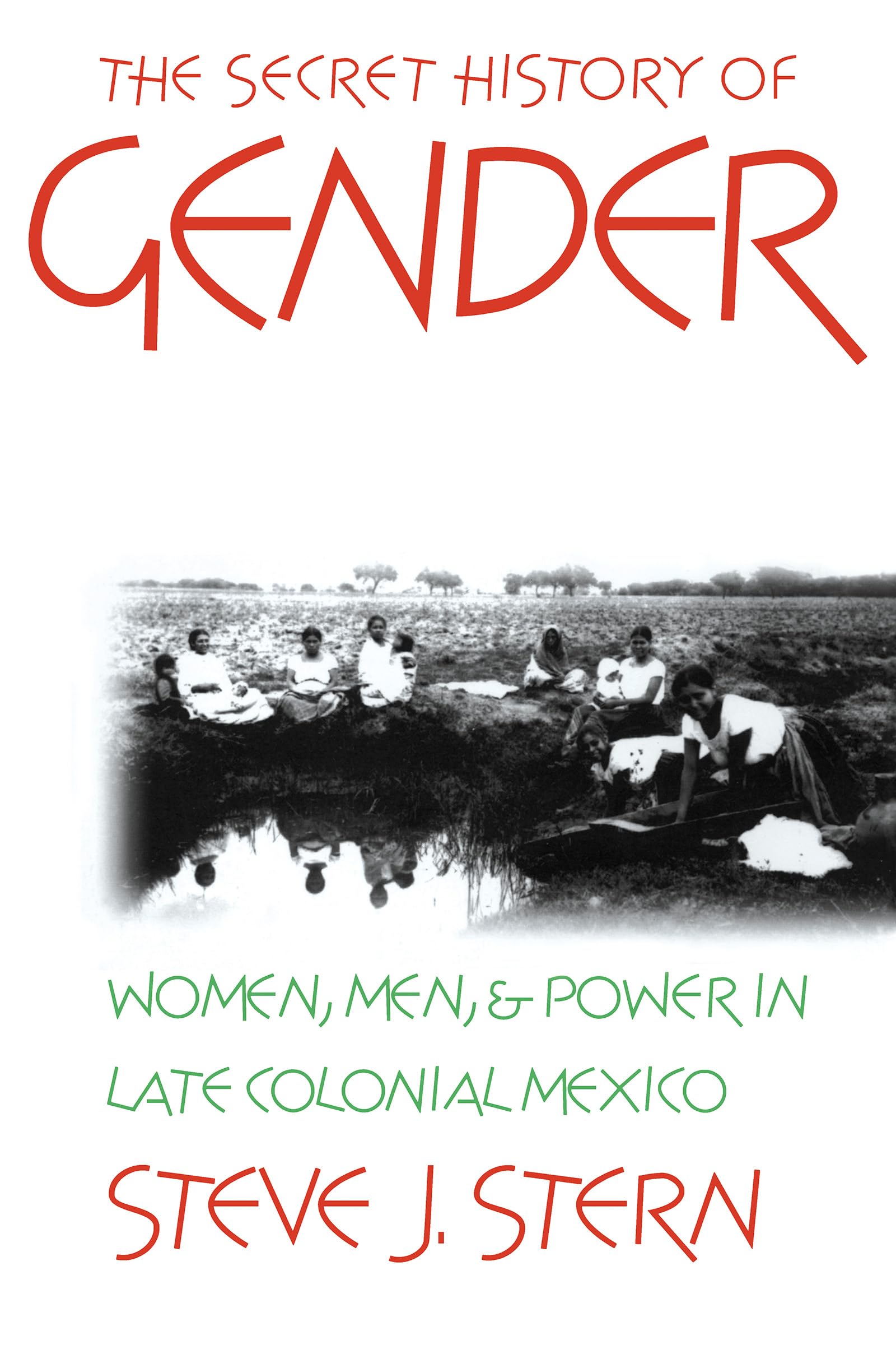 The Secret History of Gender: Women, Men, and Power in Late Colonial Mexico,New