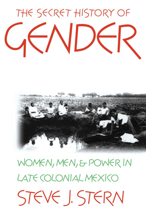 The Secret History of Gender: Women, Men, and Power in Late Colonial Mexico,New
