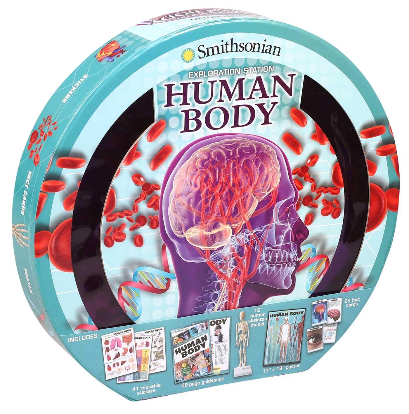 Exploration Station: The Human Body,Used