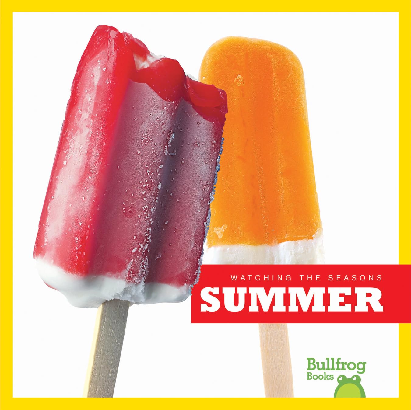 Summer (Bullfrog Books: Watching the Seasons),Used