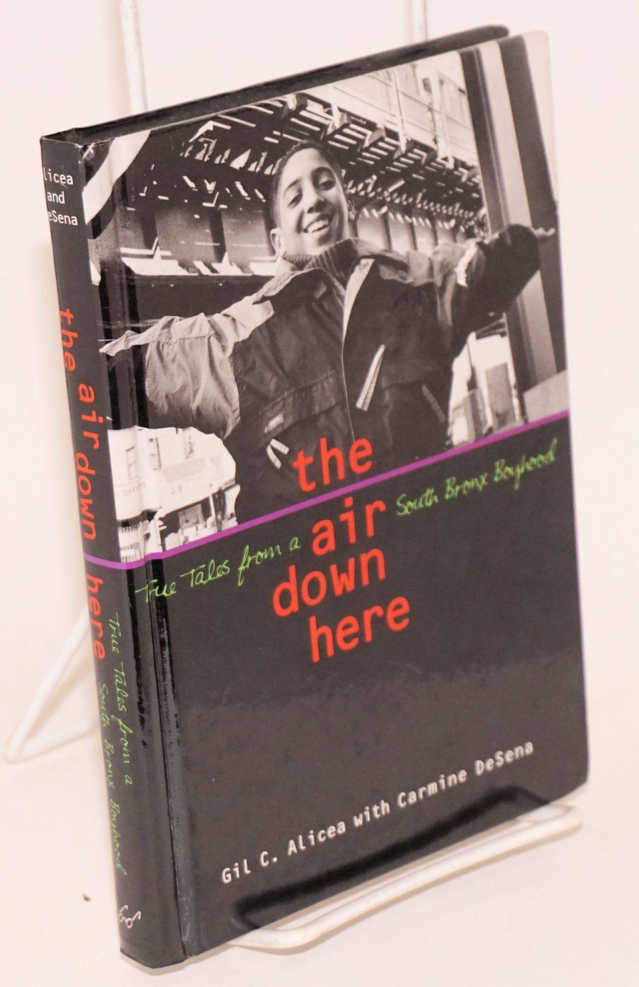 The Air Down Here: True Tales from a South Bronx Boyhood,Used