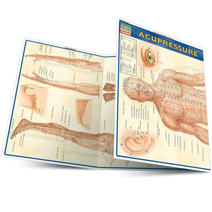 Acupressure Laminated Reference Guide (Quickstudy Academic)