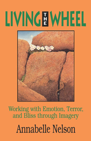 Living The Wheel: Working With Emotion, Terror And Bliss Through Imagery,Used