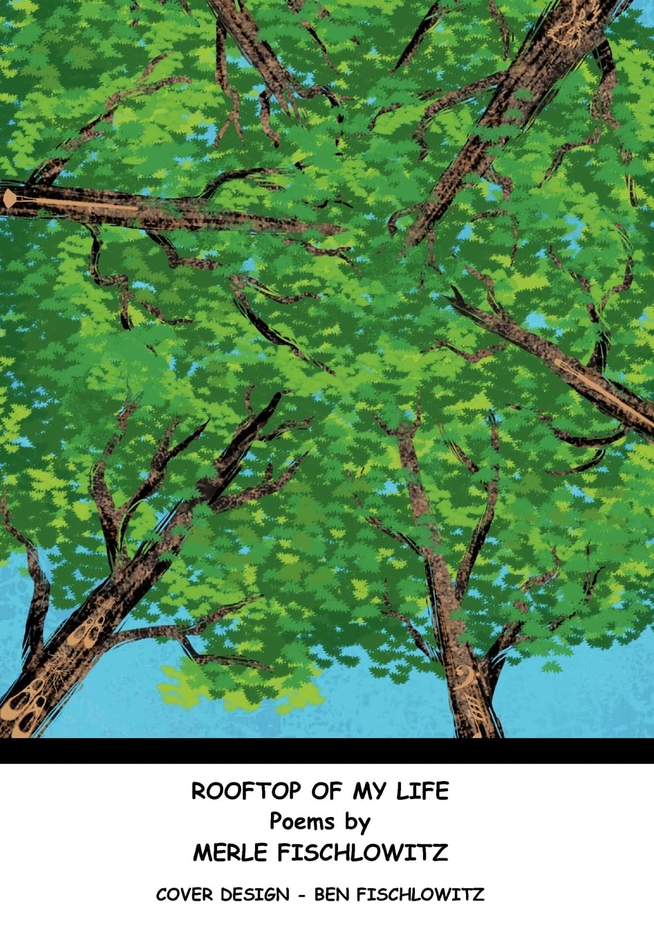 Rooftop Of My Life,Used
