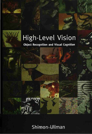HighLevel Vision: Object Recognition and Visual Cognition,Used