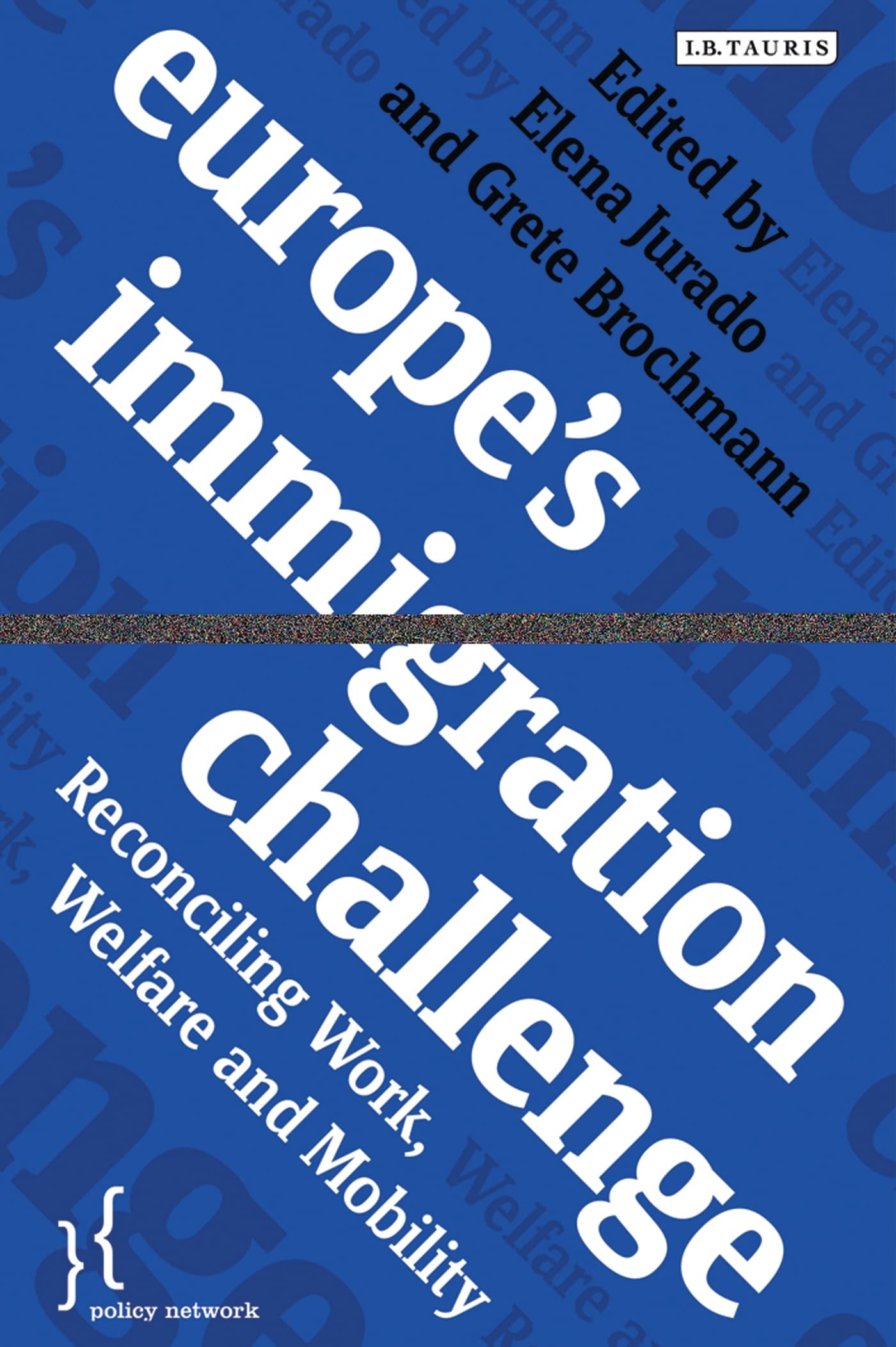 Europe'S Immigration Challenge: Reconciling Work, Welfare And Mobility (Policy Network),Used