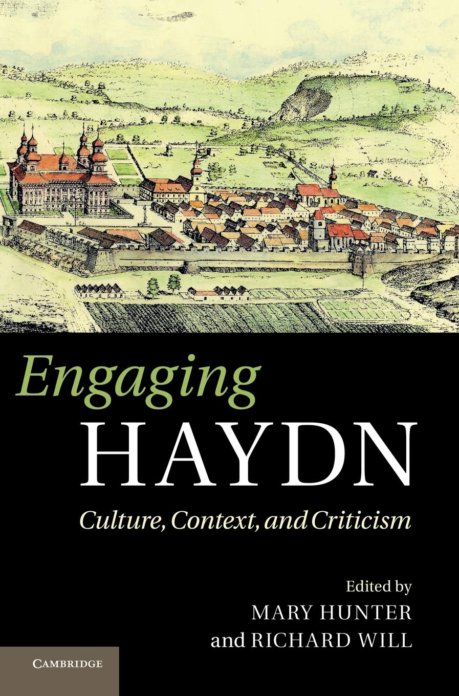 Engaging Haydn: Culture, Context, and Criticism,Used