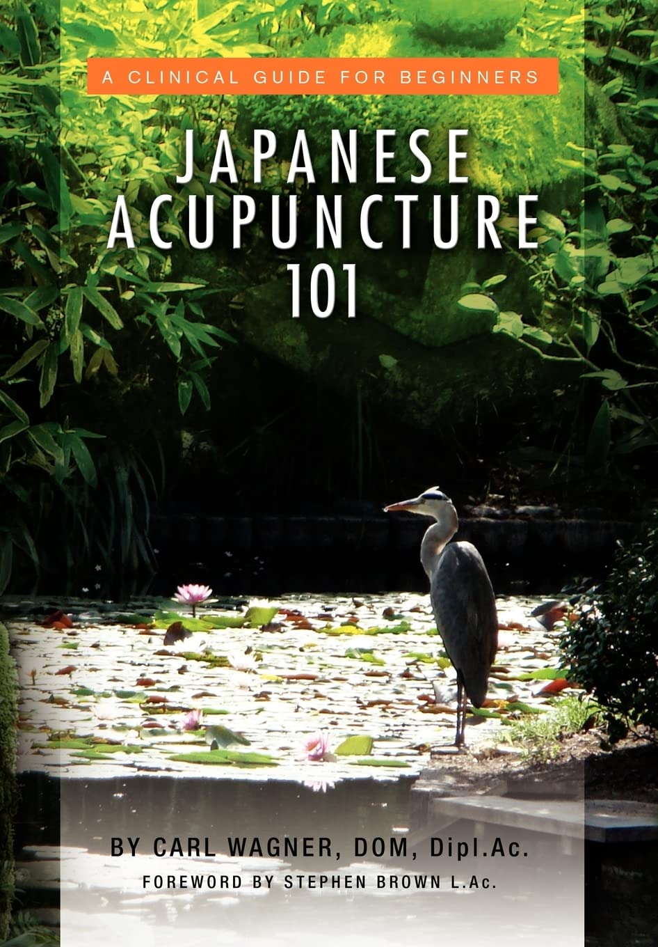 Japanese Acupuncture 101,Used